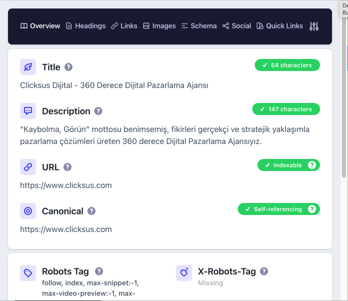 detailed-seo-extension