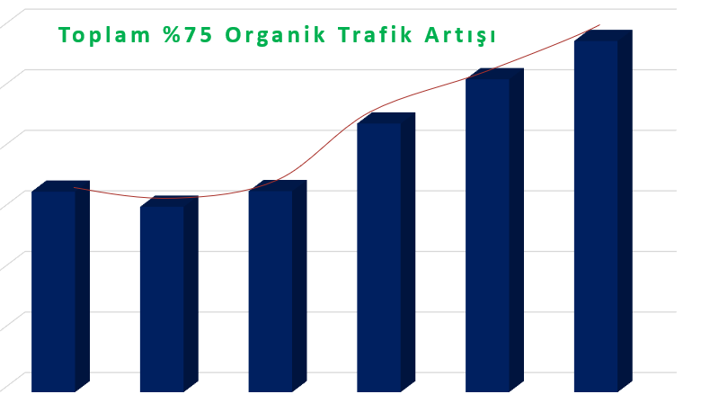 Organik-Trafik-Artisi