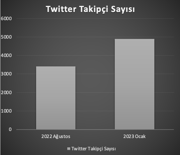 Alnus-Yatırım-Twitter