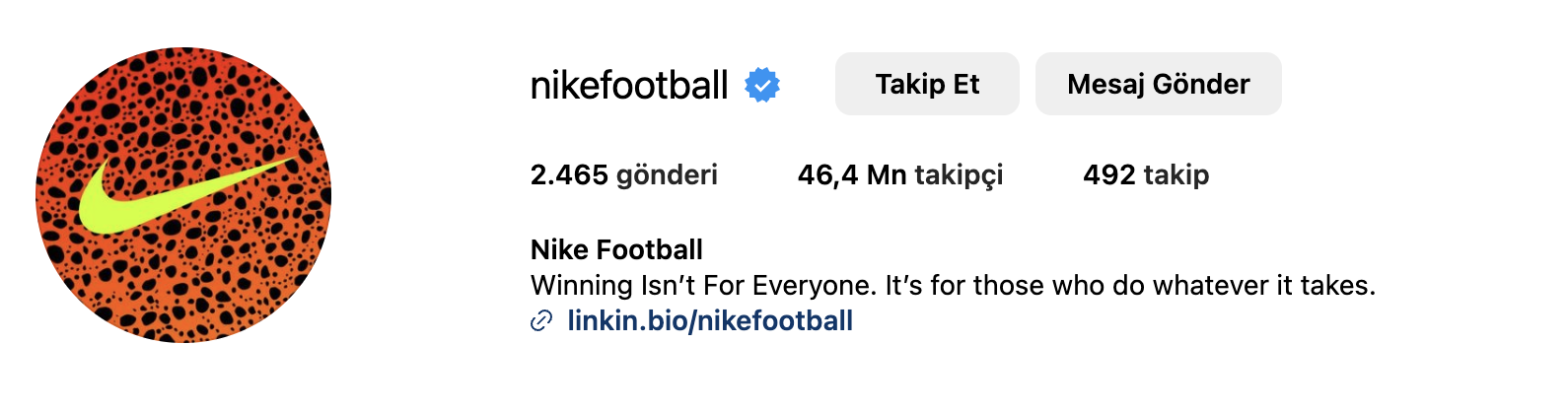 instagram-bio-ornekleri